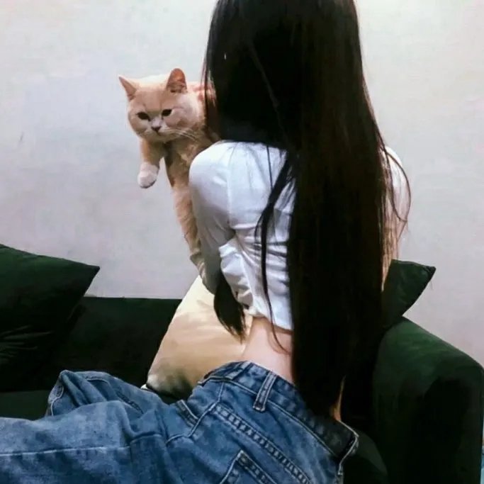 莫泊拉